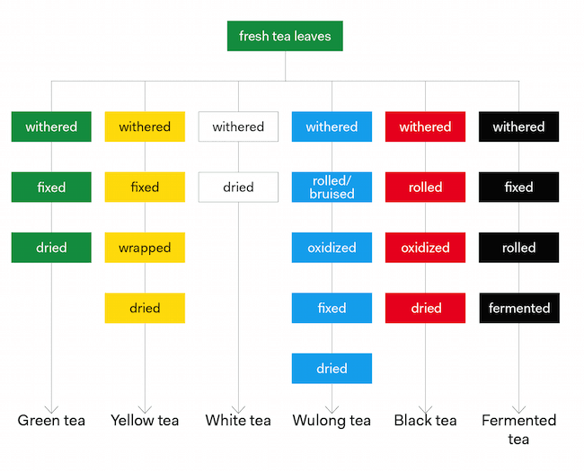 tea processing chart types of tea
