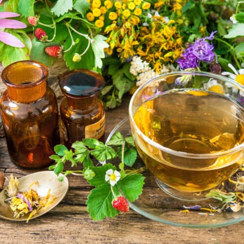 various herbal teas for digestion